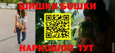 МДПВ Татарск
